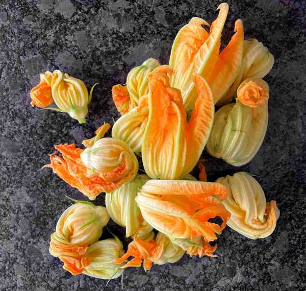 Fried Courgette Flowers | Recipe | Cuisine Fiend