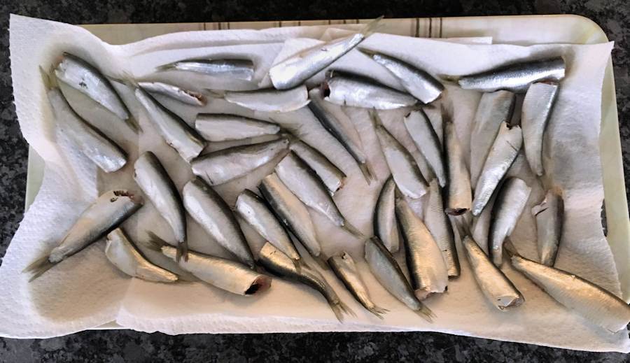 Sprats Recipe Cuisine Fiend